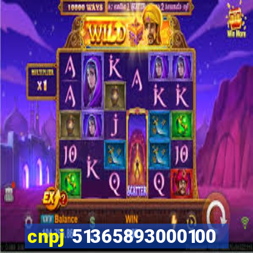 cnpj 51365893000100