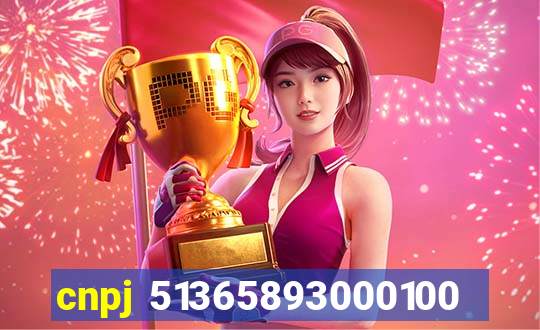 cnpj 51365893000100