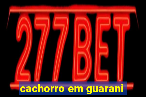cachorro em guarani