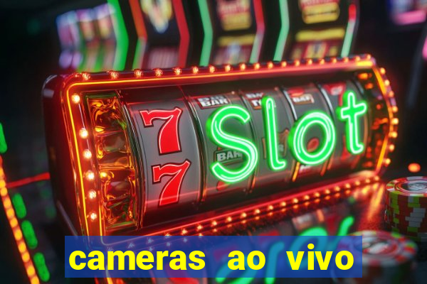 cameras ao vivo beto carrero