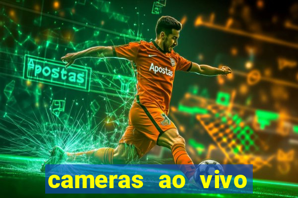 cameras ao vivo beto carrero