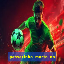 passarinho morto no quintal significado espiritual
