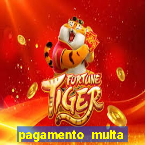 pagamento multa detran mg