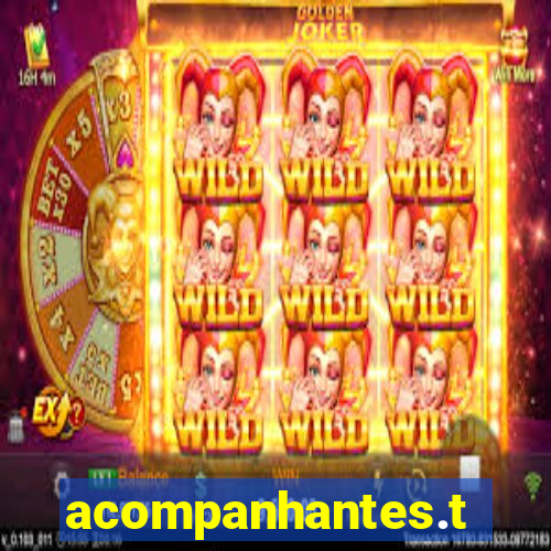 acompanhantes.tubarao
