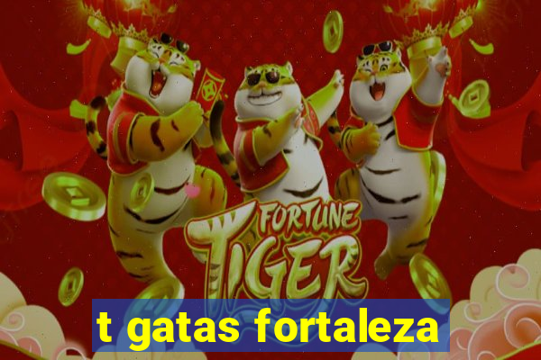 t gatas fortaleza
