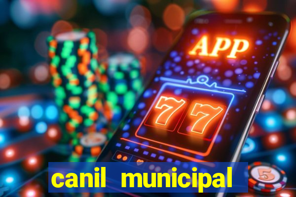 canil municipal porto alegre