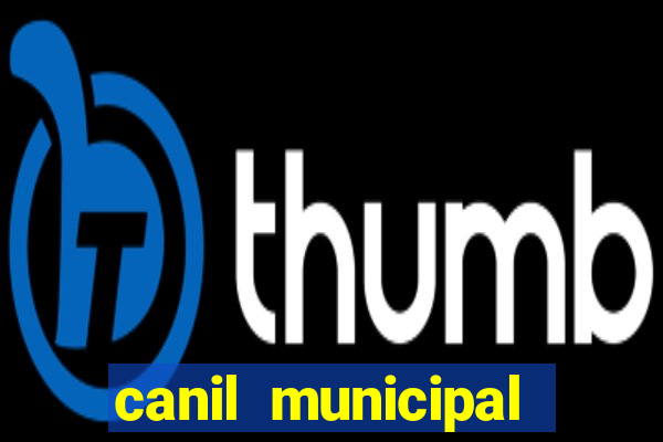 canil municipal porto alegre