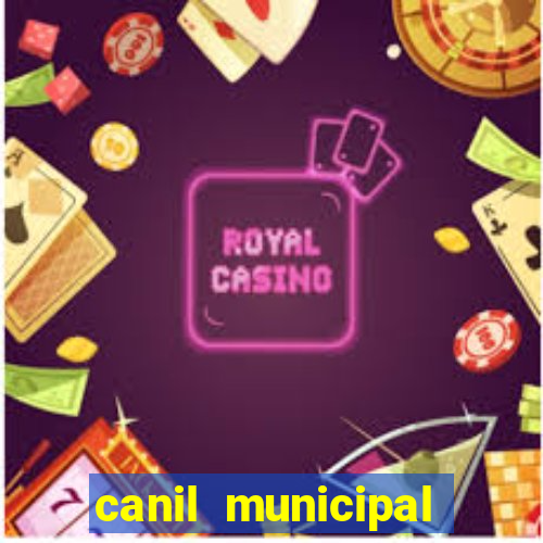 canil municipal porto alegre