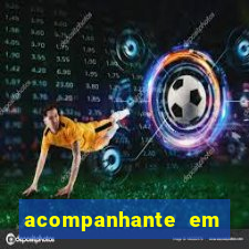 acompanhante em porto ferreira