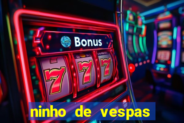 ninho de vespas significado espiritual