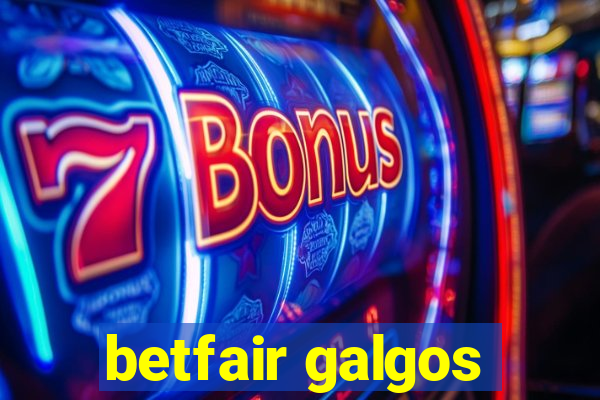 betfair galgos