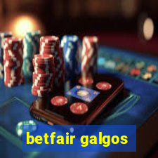 betfair galgos