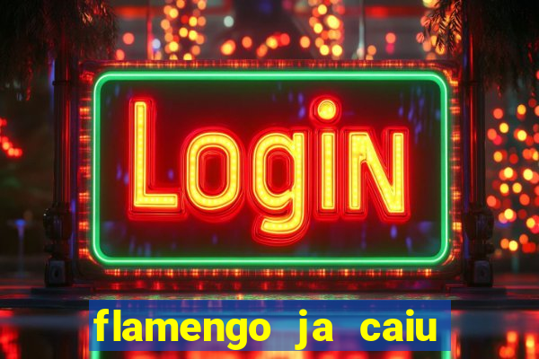 flamengo ja caiu para serie b
