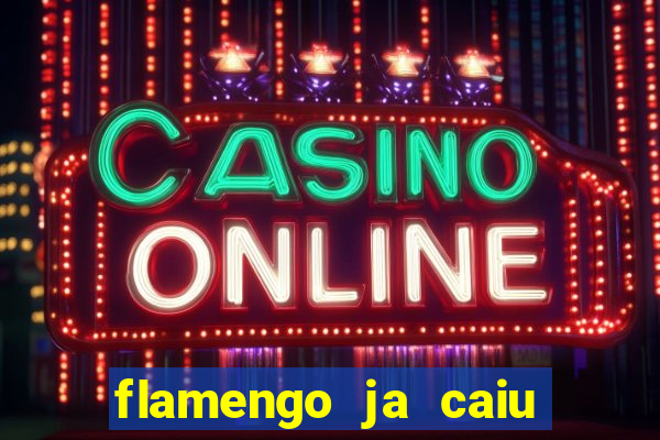 flamengo ja caiu para serie b