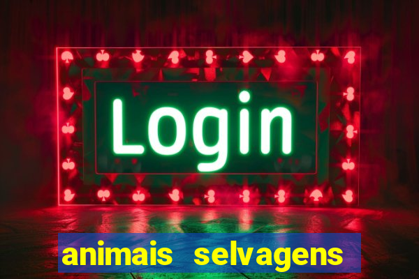 animais selvagens fotos e nomes