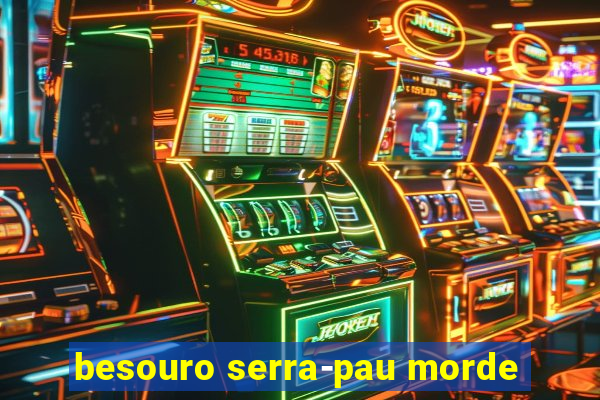 besouro serra-pau morde
