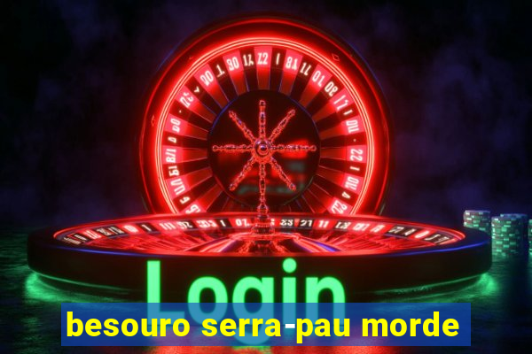 besouro serra-pau morde
