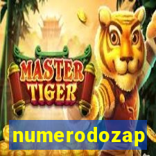 numerodozap