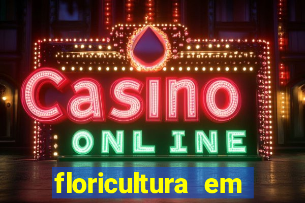 floricultura em franca sp