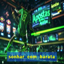 sonhar com barata jogo do bicho