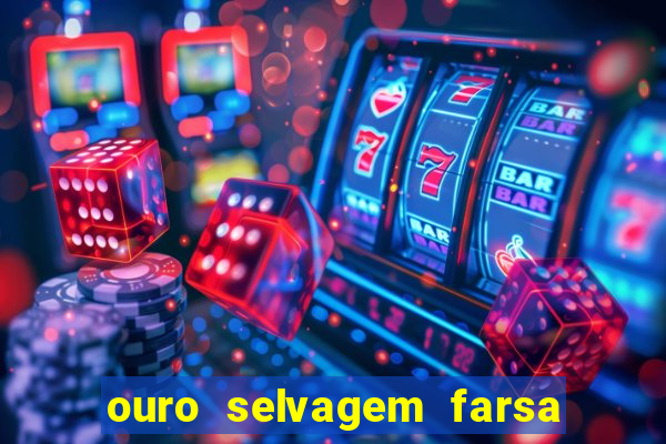 ouro selvagem farsa ouro selvagem o que aconteceu