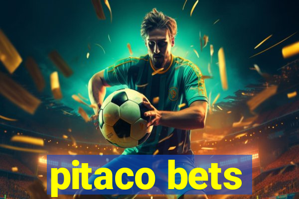 pitaco bets