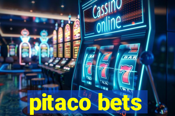 pitaco bets