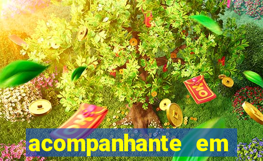 acompanhante em presidente prudente