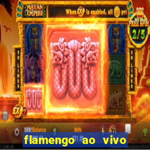 flamengo ao vivo multi canais