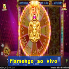 flamengo ao vivo multi canais