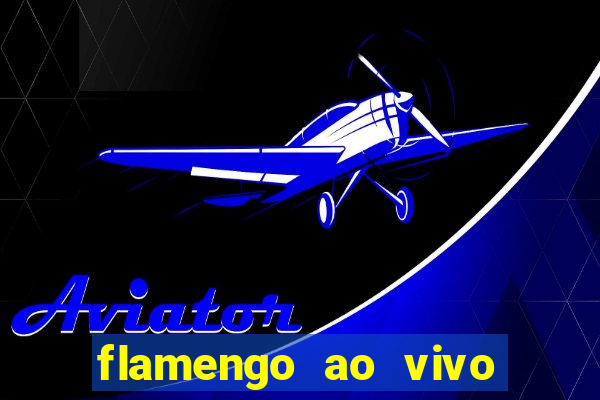 flamengo ao vivo multi tv