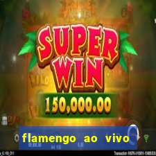 flamengo ao vivo multi tv