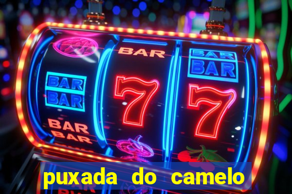 puxada do camelo jogo do bicho