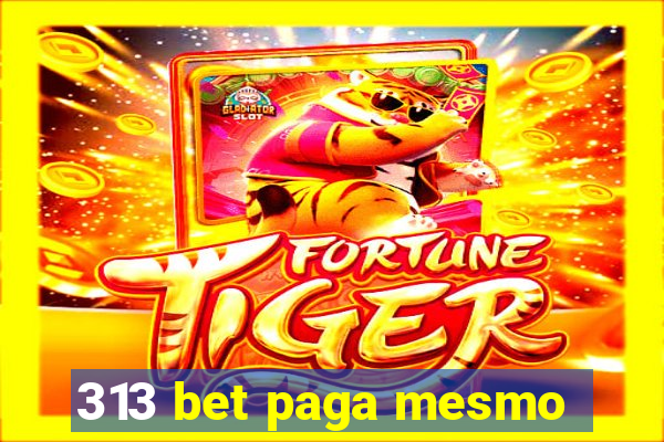 313 bet paga mesmo