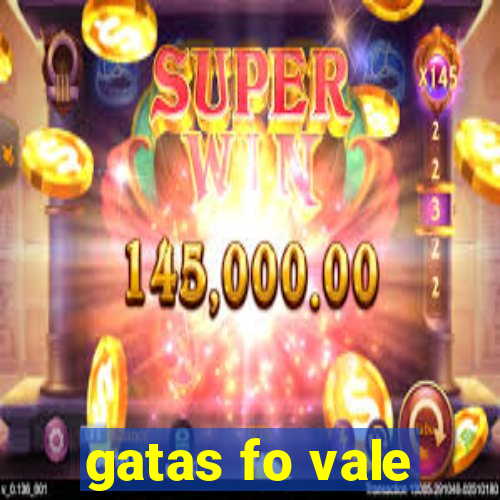 gatas fo vale