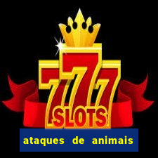 ataques de animais selvagens a humanos fatais