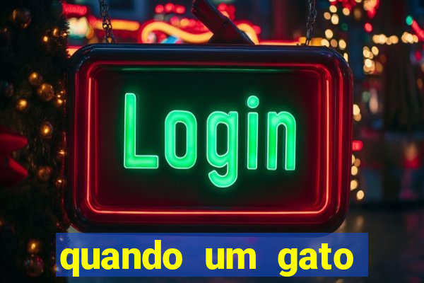 quando um gato aparece do nada significado espiritual