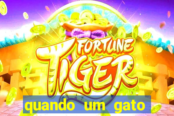 quando um gato aparece do nada significado espiritual