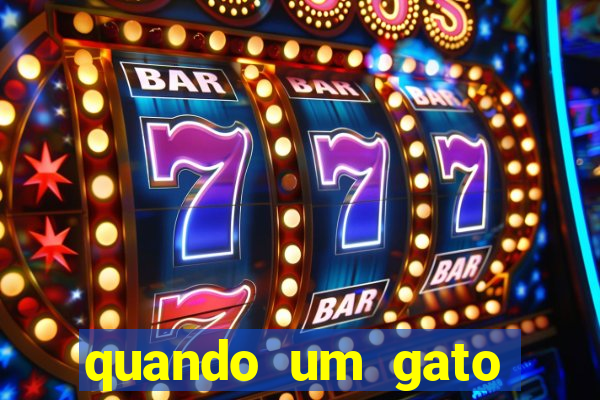 quando um gato aparece do nada significado espiritual