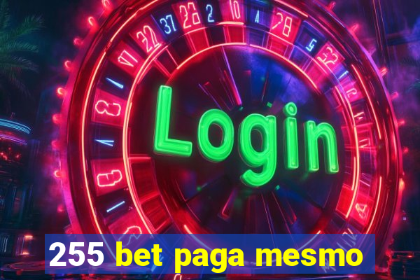 255 bet paga mesmo