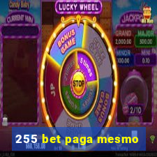 255 bet paga mesmo
