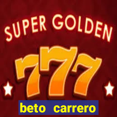 beto carrero cidades proximas