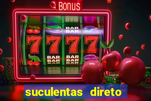 suculentas direto do produtor rs