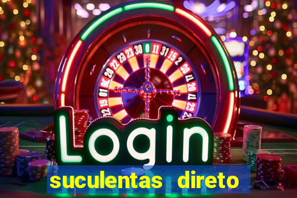 suculentas direto do produtor rs