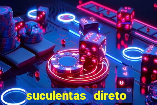 suculentas direto do produtor rs