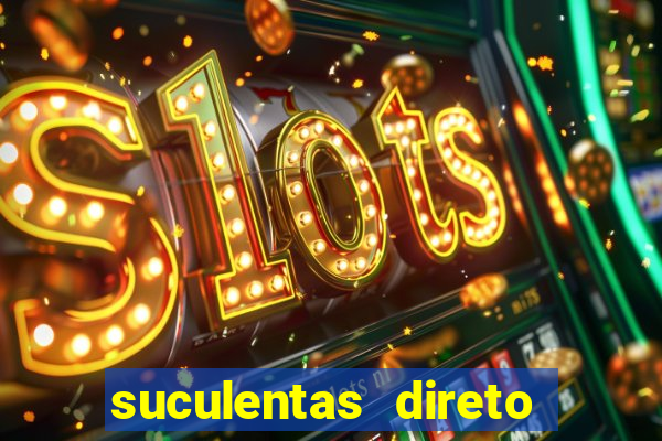 suculentas direto do produtor rs