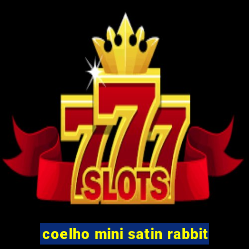 coelho mini satin rabbit