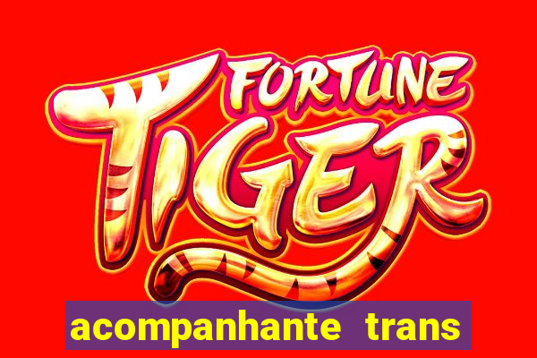 acompanhante trans de santos