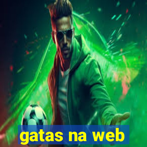 gatas na web