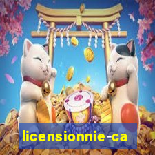 licensionnie-casino.ru